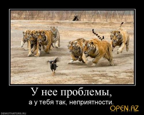 №84, Антон Сафонов, 29 лет, Sarasota №84, Антон Сафонов, 29 лет, Sarasota