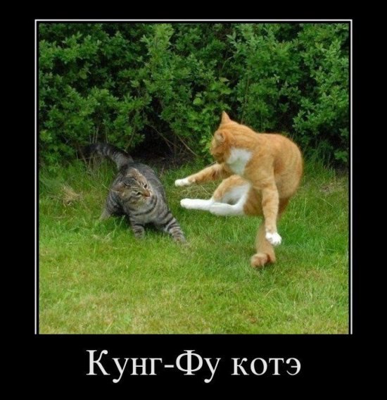 Василь Атаманчук Володимирович | Бережаны