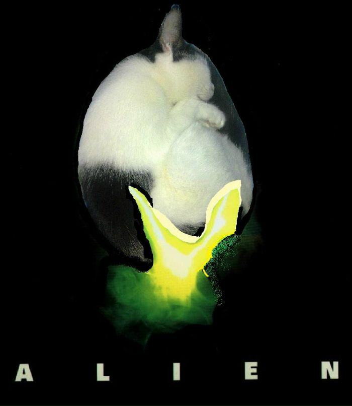 Invader Space | Мухоморка