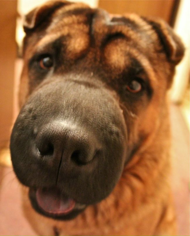 Виктория Трофимова | Москва