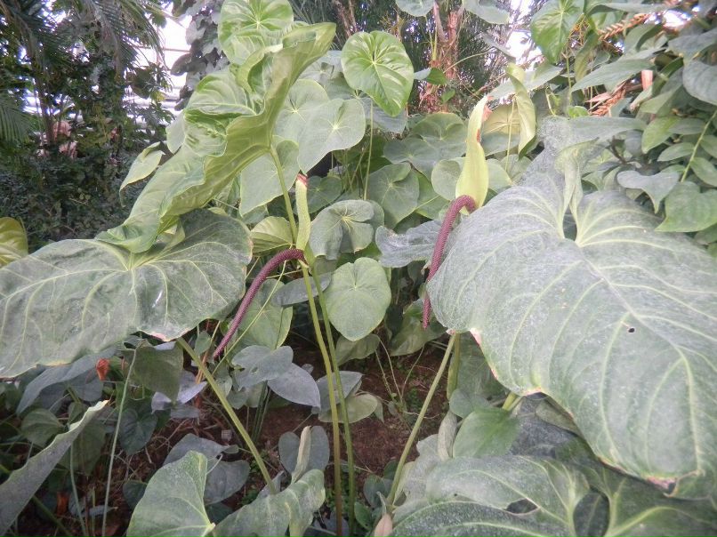 Ирина Кравчук | 