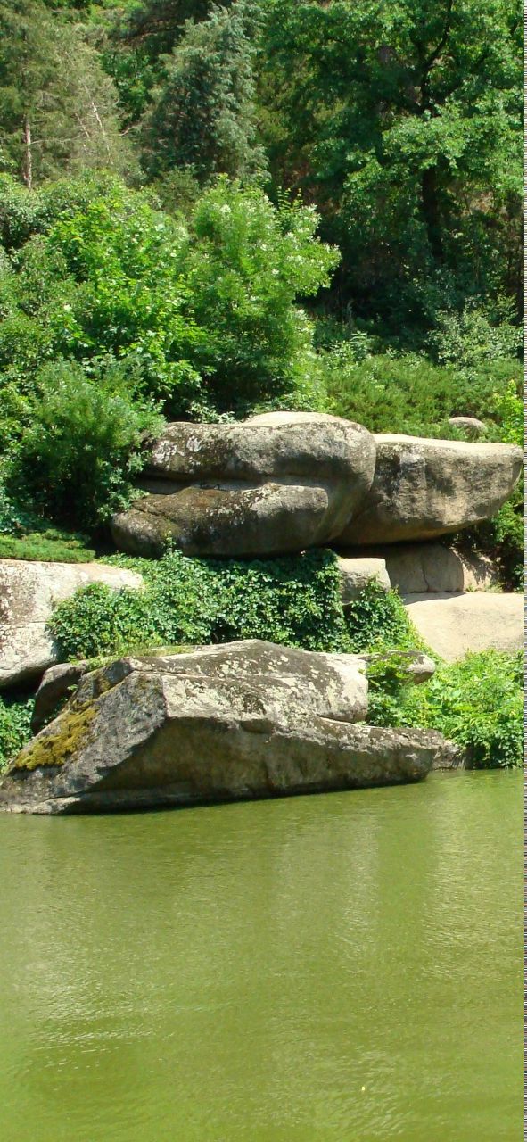 Ольга Алекс Алекс | Николаев