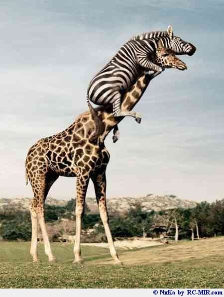 Дмитрий Новоселов | Харьков