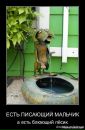 Фотография Евгений Королёв