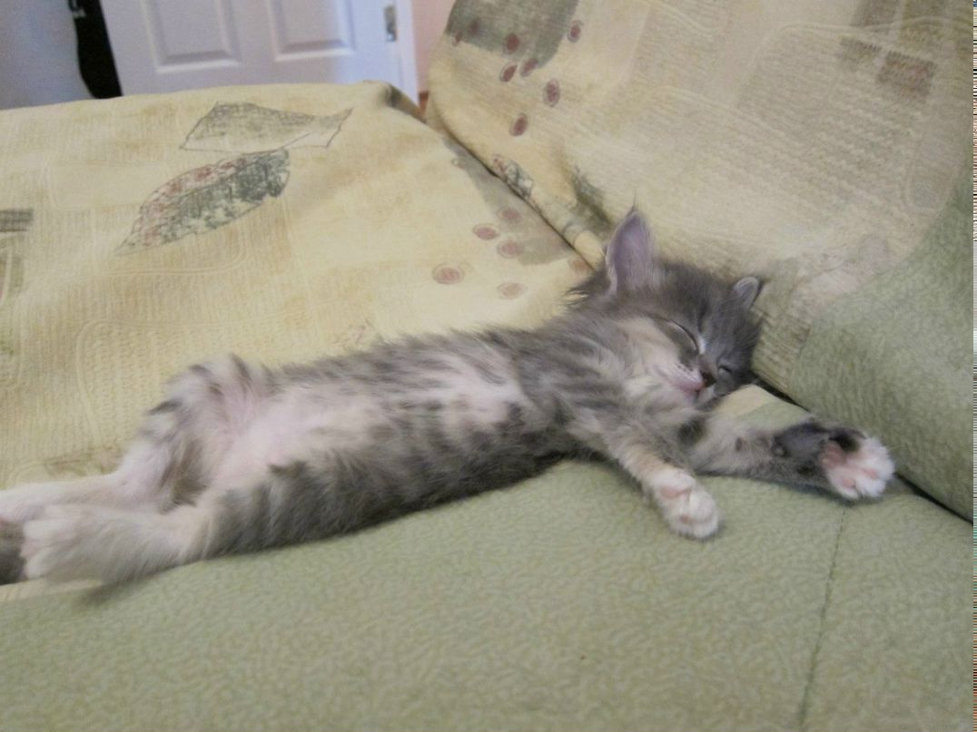 Даша Логинова | Екатеринбург