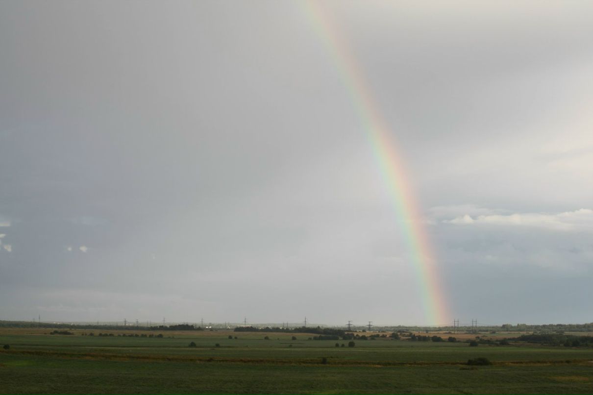 Максим Гречухин | Санкт-Петербург