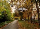 Фотография Андрей Ефременко