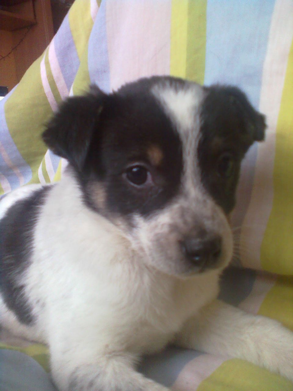 Санька Родионова | Москва