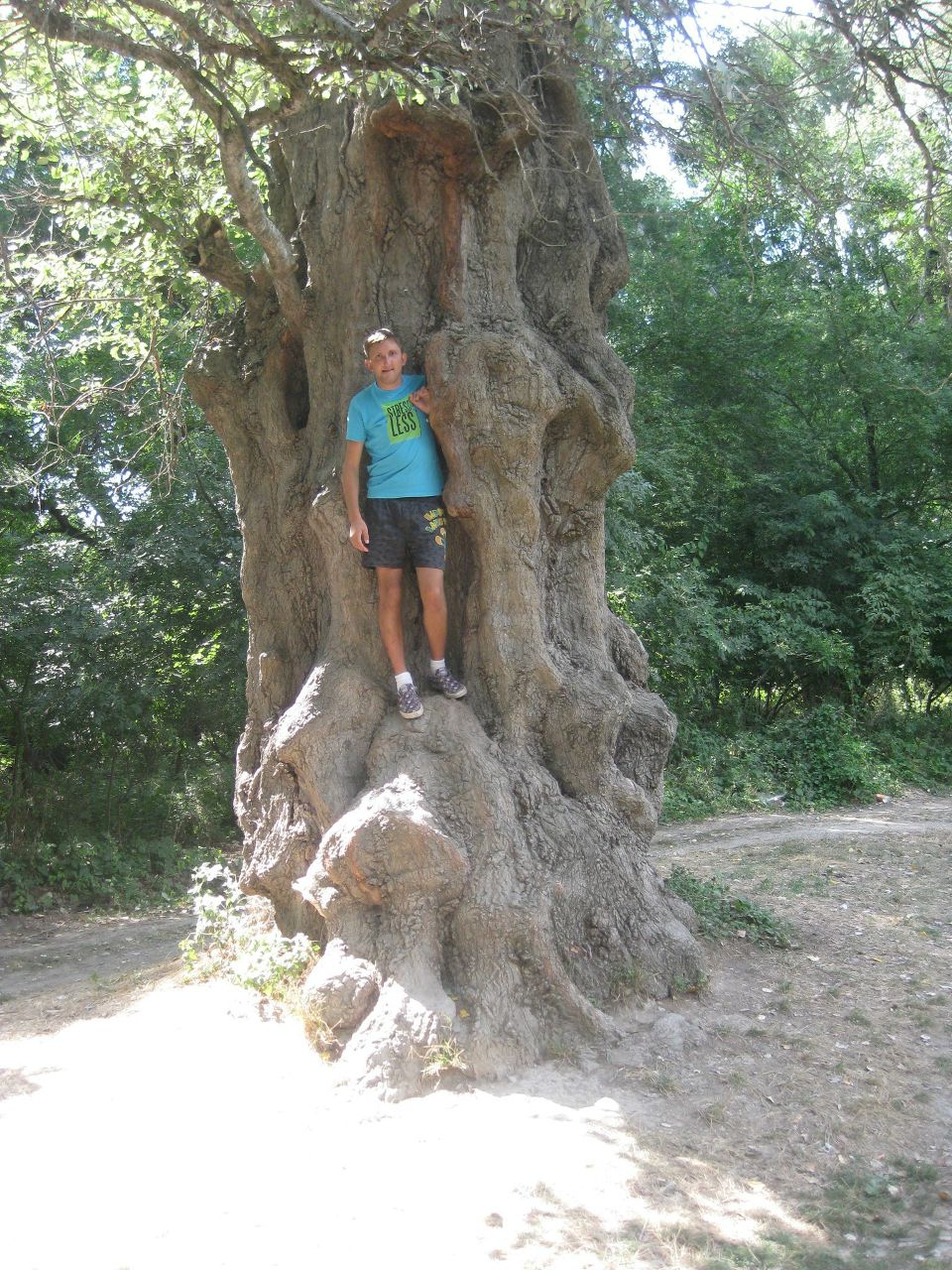 Александр Комарьков Владимирович | Москва