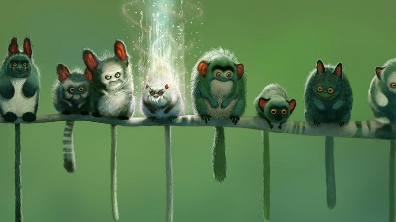 Чибис Чибииис ? | Tokelau