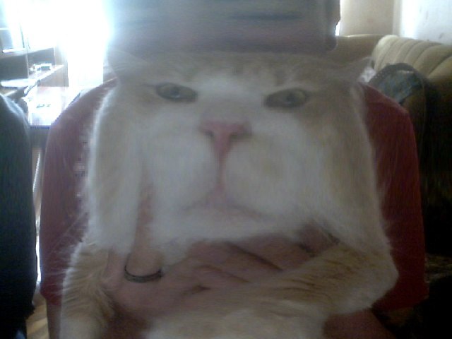 Игорь Городкин | Киев