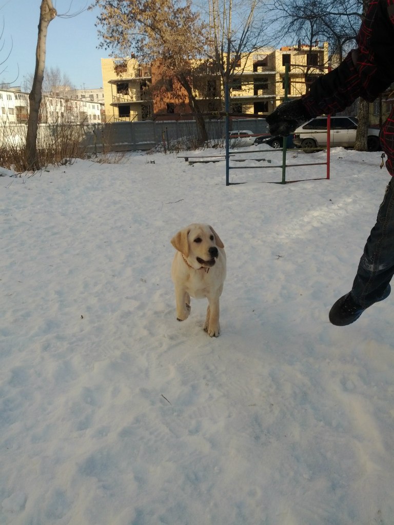 Михаил Пятаков *PiF* | Пермь