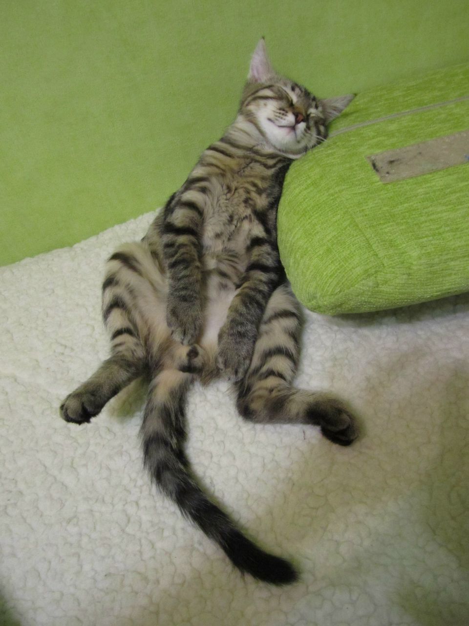 Евгений Котов | Ижевск