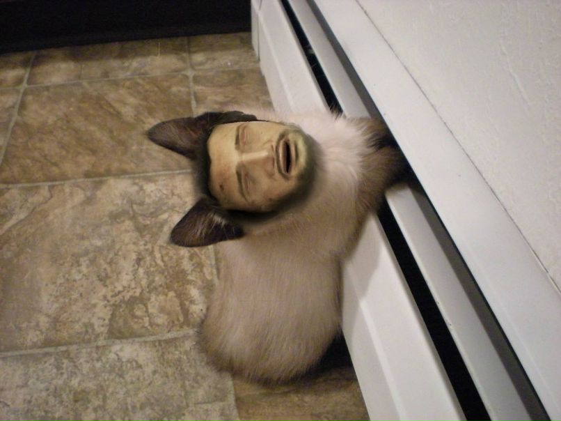 Антон Иванов | Санкт-Петербург