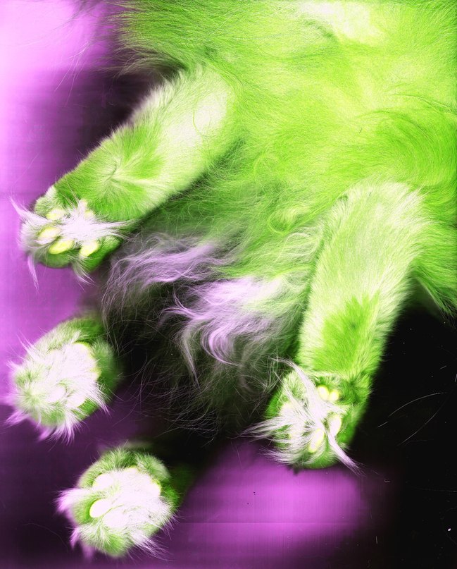 Наталья Шайахметова | 