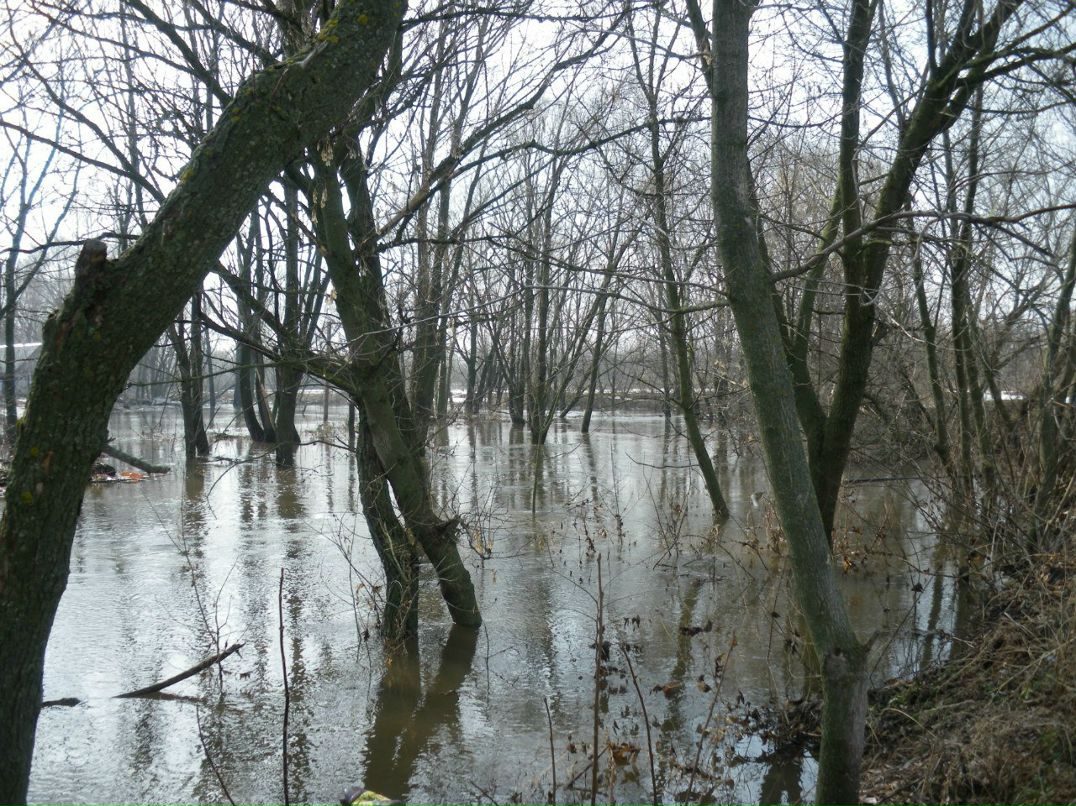 Даниил Струганов | 