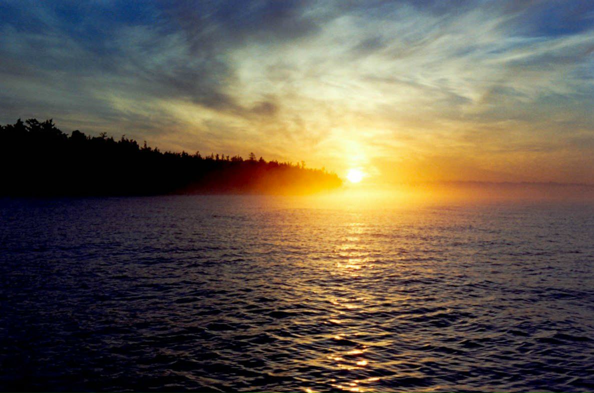 Алексей Васильев | 