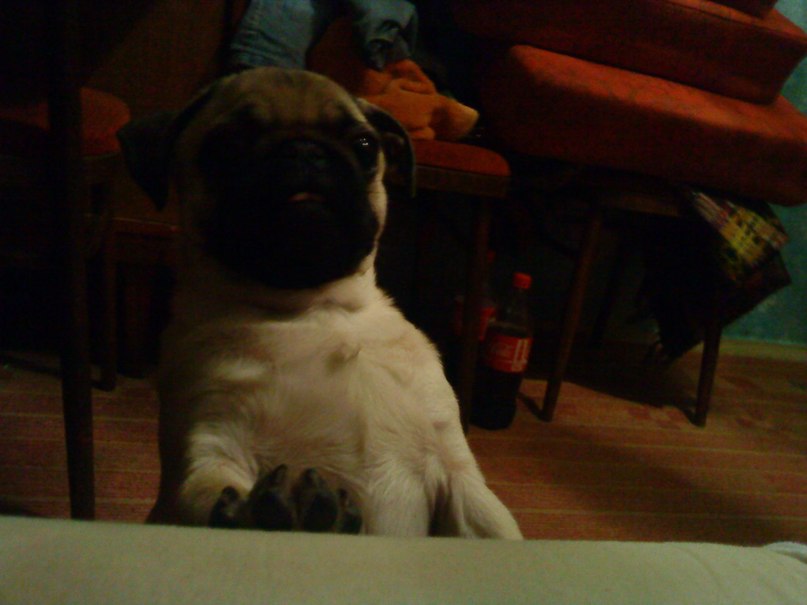 Юля Кургузова | Зеленоград