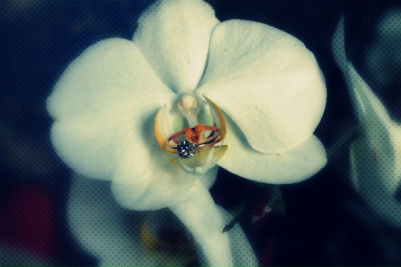 Юлия Михайлова | Казань