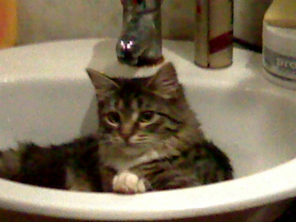 Вадим Винник | Москва