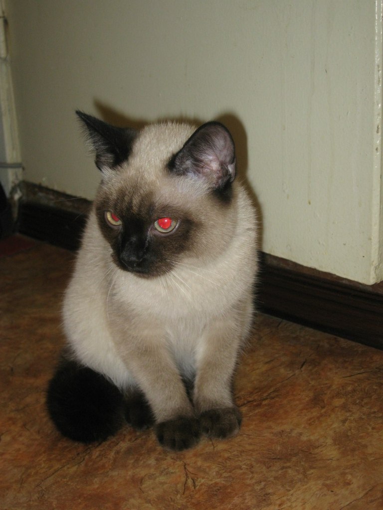 Марина Маркова | Санкт-Петербург