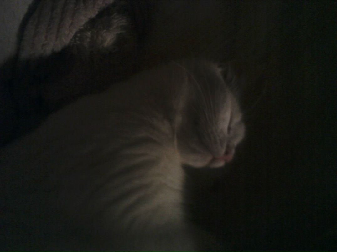 Юлия Рябинина | Кириши