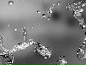 Сергей Леонов | Великие Луки