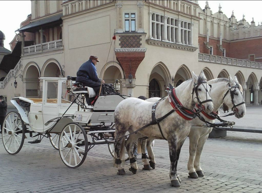Анютка Нишанова | Севастополь