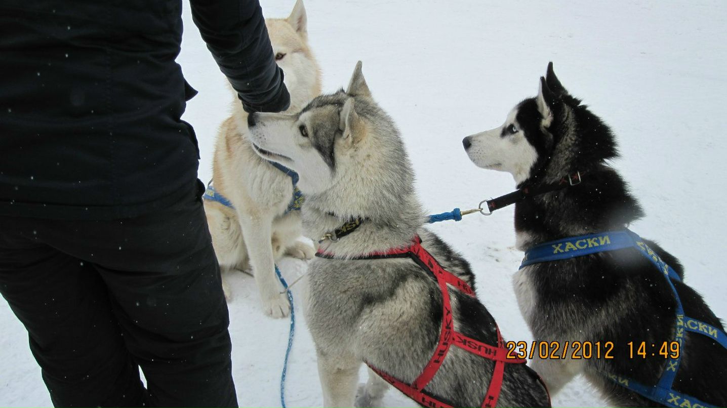 Дарья Асатрян | Москва