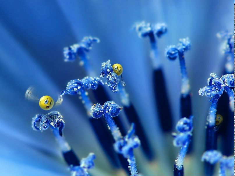 Андрей Грачёв | Москва