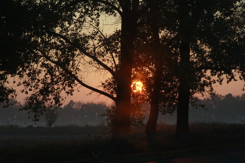 Анна Мурсяева | Москва