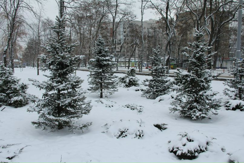 Владимир Голубь | Днепр (Днепропетровск)