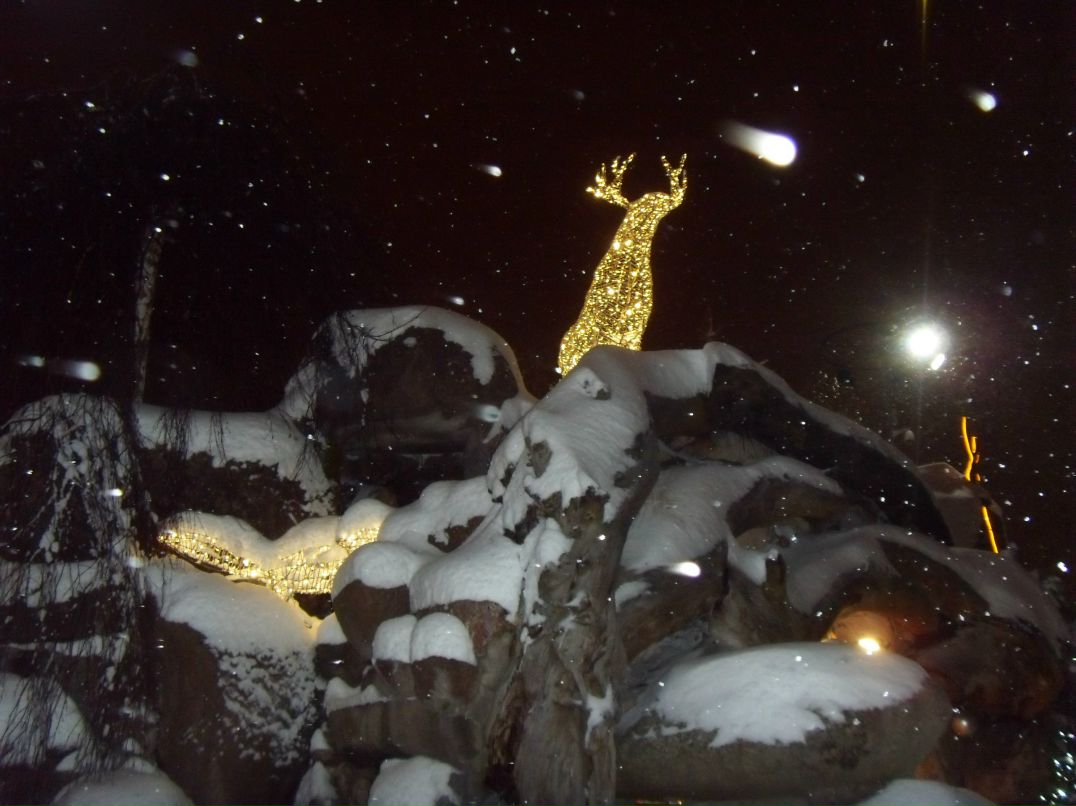 Мира Усович | Санкт-Петербург