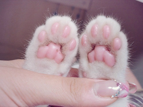 №194, Анюта Исмаилова, Макеевка №194, Анюта Исмаилова, Макеевка