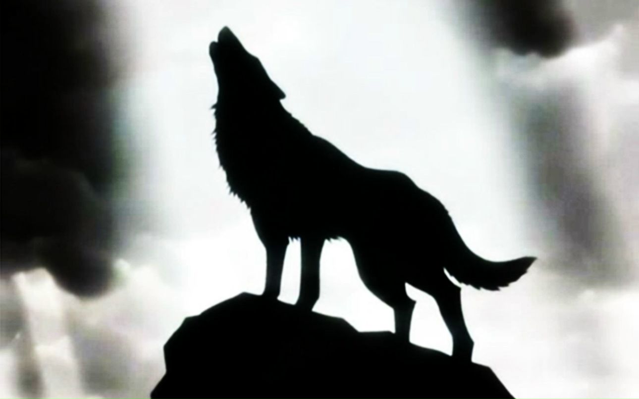 Андрей Маслаков | 