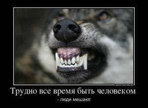 Виктор Никифоров Александрович | Санкт-Петербург