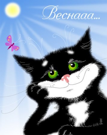 Александр Самойлов ~СаМоХа~ | Санкт-Петербург