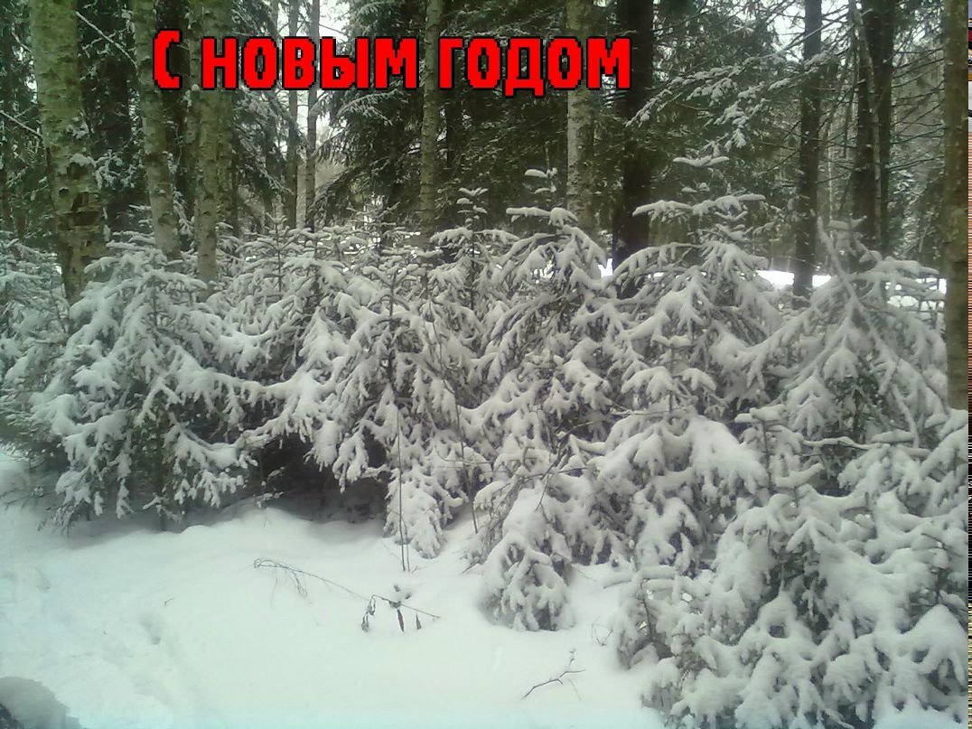 Саня Ρунцев [N