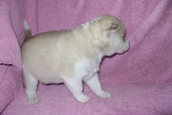 Тёма Михайлец | Кривой Рог