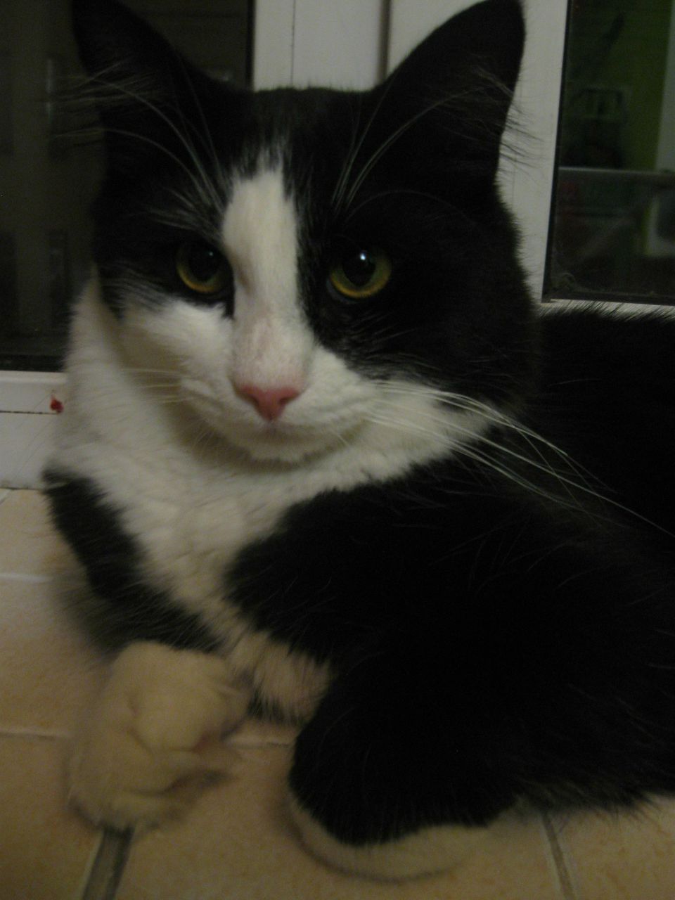 Александр Бушуев | Санкт-Петербург