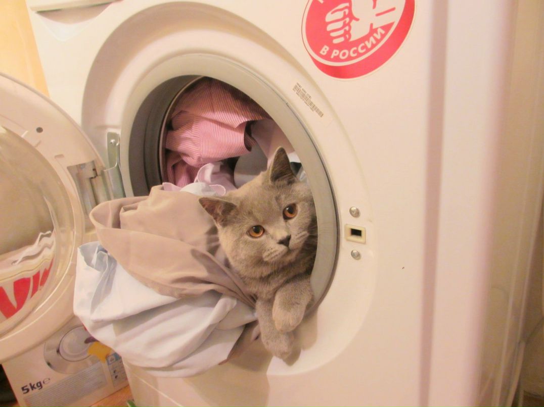 Павел Яковлев | Санкт-Петербург