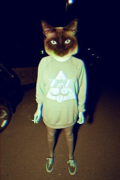 Александр Лис | Санкт-Петербург