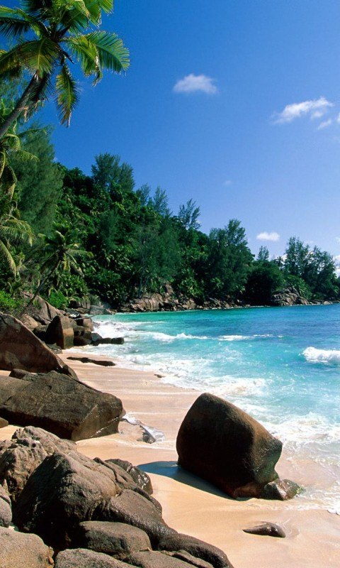 Николай Абраилов | 