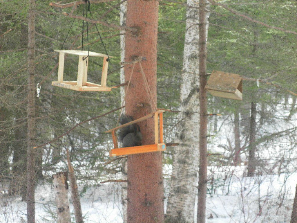 Дарья Бутова | Красноярск