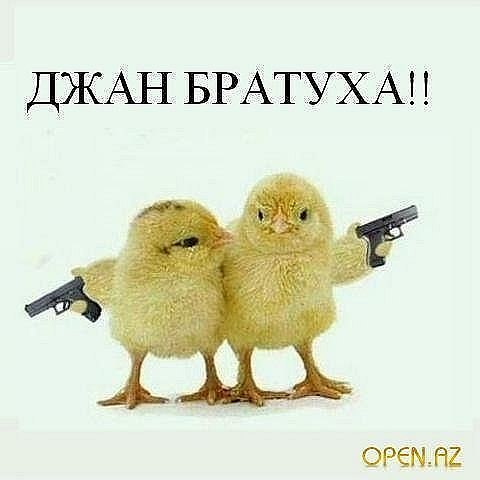 Rizvan Soltakhanov | Санкт-Петербург