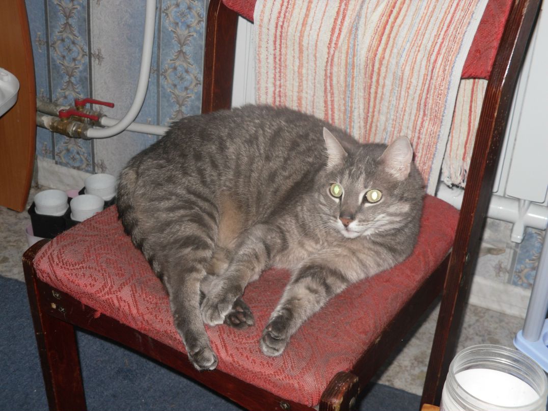 Сергей Чуфистов Zevs | Екатеринбург