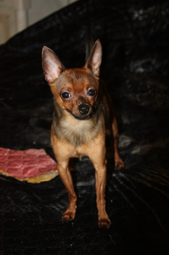 Светлана Тарасова | Москва