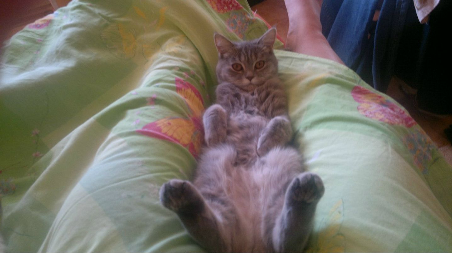 Антонина Андреева | Череповец