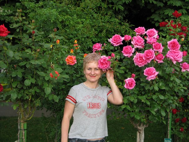 №1, Елена Березка №1, Елена Березка