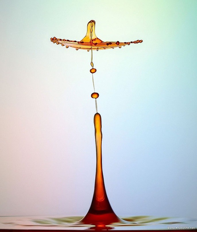 Ольга Галустян | Одесса